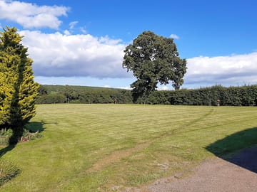 Views across the site