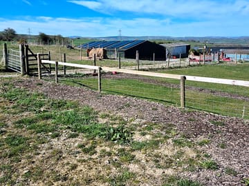 Around the site
