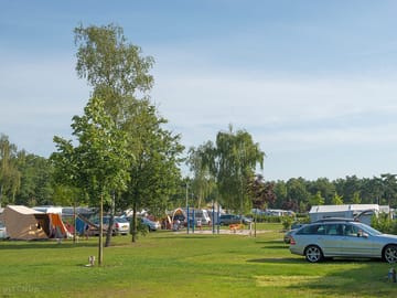 View of the site