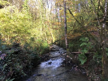 Local river walk
