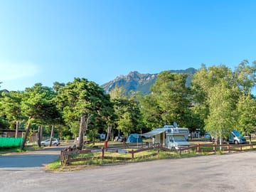 Grass pitches