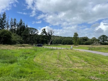 Camping area all 5 pitches in total