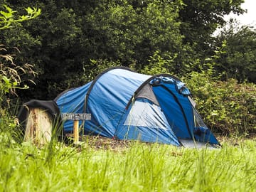 Tent pitch among the trees