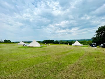 View from the field