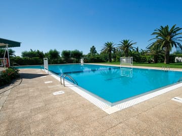 The swimming pool