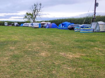 Grass pitches