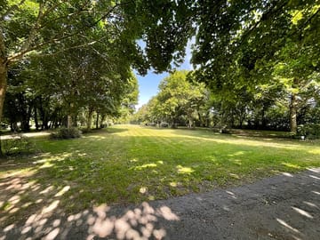 Grass pitches