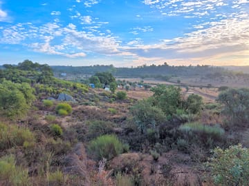 View of the site