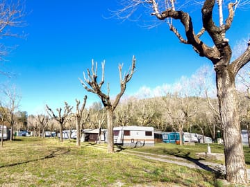 Plots in winter