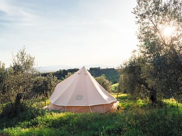 Safari tent