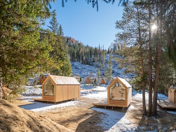 Forest cabin