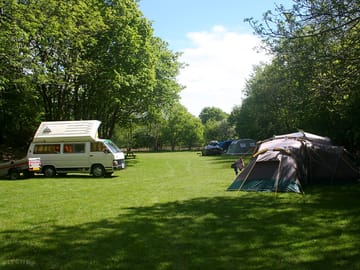 Camping in the lower field