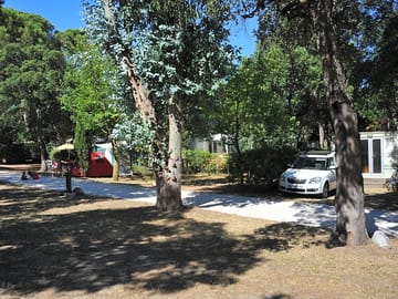 Spacious, partial shade pitches