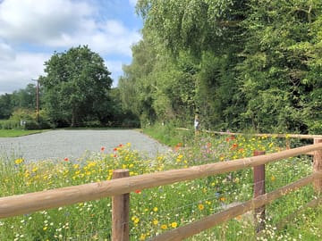 Site looking west