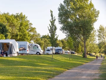 Tree-shaded pitches