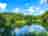 River Bank Camping: Five-acre trout fishing lake (photo added by manager on 08/28/2024)