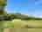 Willow Tree Campsite: Non-electric grass tent pitch (photo added by manager on 11/10/2022)