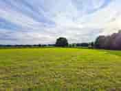Grass pitches