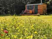 Countrified surrounds