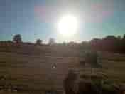 The Hay Field as the sun sets