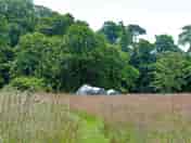 Grass pitches