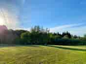 Wildflower view non electric field