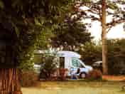 Grass pitches