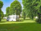 Grass pitch