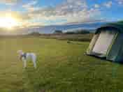 Photo camping 2022
