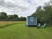 Swallow shepherd hut on the meadow