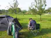 Camping at The Holford Arms
