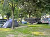 Pitches under shady trees