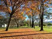 The grounds in autumn