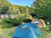 Grass pitches shaded by trees