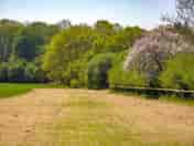 View down the field