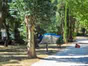 Spacious, partial shade pitches