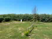 Sunny pitch