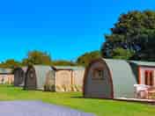Pods