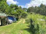 Pitches shaded by trees