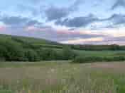 Purbeck hills from main field