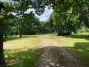 Emma's Glade, our non-electric, pet free area - also a Site of Special Scientific Interest.