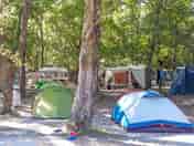 Pitches on site