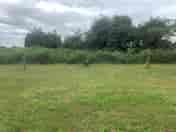5-amp pitch