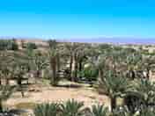 Pitches among the palm groves