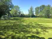 Campsite meadow