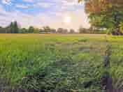 View of camping field