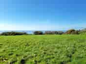 Grassy pitches