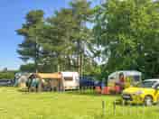 Grass pitches