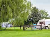 Pitches on site