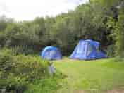 XL secluded grass tent pitch